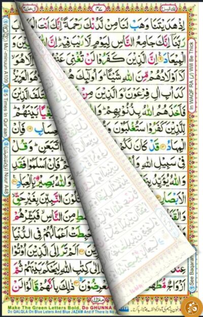 Tajweedi / Hafzi Quran Kareem