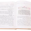 15 Rahnuma Asool - Image 2